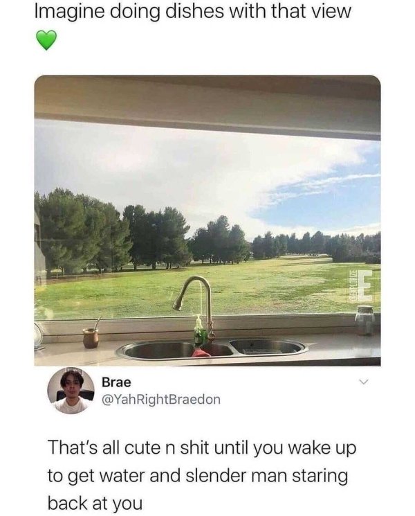 imagine washing the dishes with this view - Imagine doing dishes with that view Brae RightBraedon That's all cute n shit until you wake up to get water and slender man staring back at you