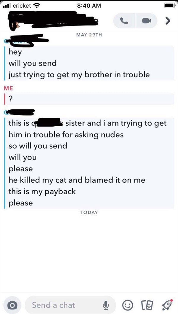 called out - screenshot - ..ll cricket May 29TH hey will you send just trying to get my brother in trouble Me ? this is a sister and i am trying to get him in trouble for asking nudes you send so will will you please he killed my cat and blamed it on me t
