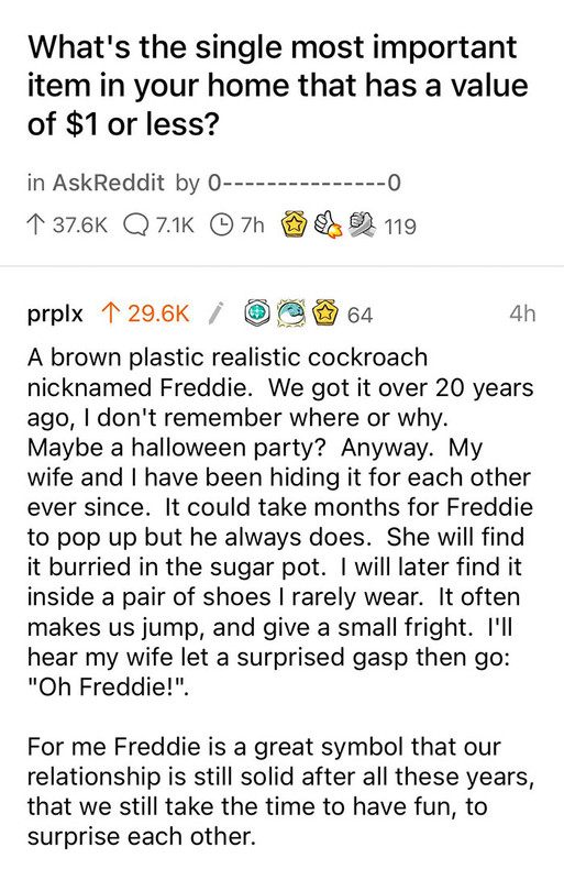 paper - What's the single most important item in your home that has a value of $1 or less? 0 in AskReddit by 0 1 Q 7h B 119 prplx 1 i 64 4h A brown plastic realistic cockroach nicknamed Freddie. We got it over 20 years ago, I don't remember where or why. 