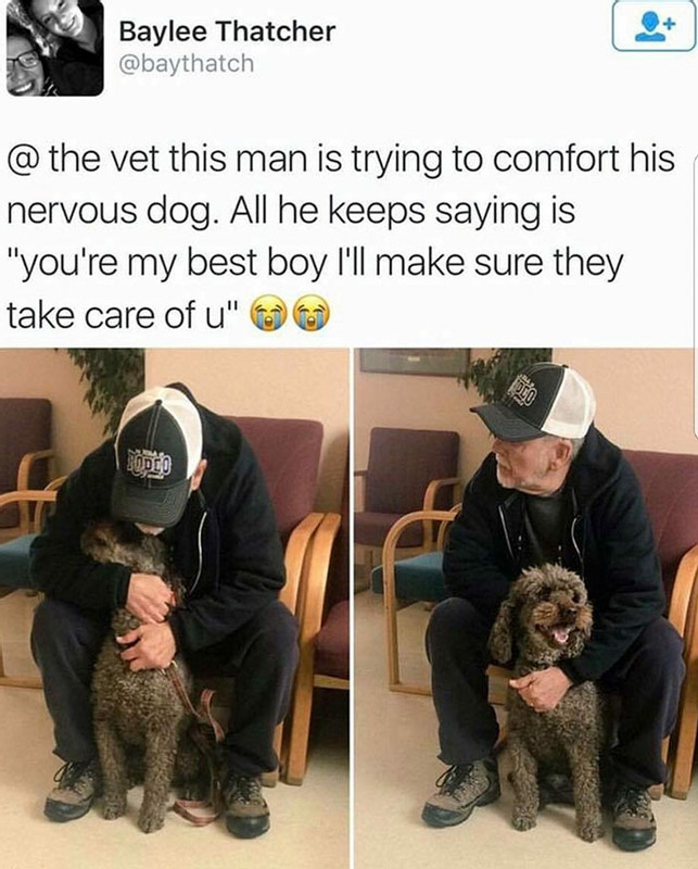 wholesome cute things - Baylee Thatcher @ the vet this man is trying to comfort his nervous dog. All he keeps saying is "you're my best boy I'll make sure they take care of u" Deo Dod To