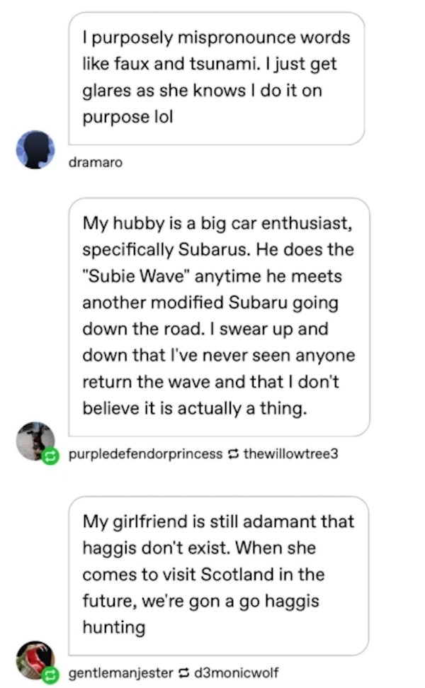 point - I purposely mispronounce words faux and tsunami. I just get glares as she knows I do it on purpose lol dramaro My hubby is a big car enthusiast, specifically Subarus. He does the "Subie Wave" anytime he meets another modified Subaru going down the