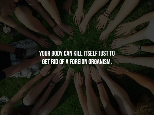 Your Body Can Kill Itself Just To Get Rid Of A Foreign Organism.