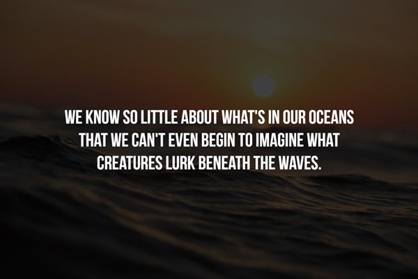 army firefighter - We Know So Little About What'S In Our Oceans That We Can'T Even Begin To Imagine What Creatures Lurk Beneath The Waves.