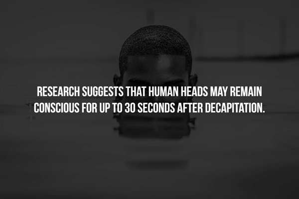 monochrome photography - Research Suggests That Human Heads May Remain Conscious For Up To 30 Seconds After Decapitation.