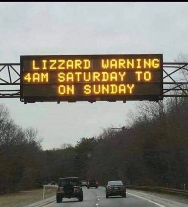 lizzard warning - Lizzard Warning 4AM Saturday To On Sunday