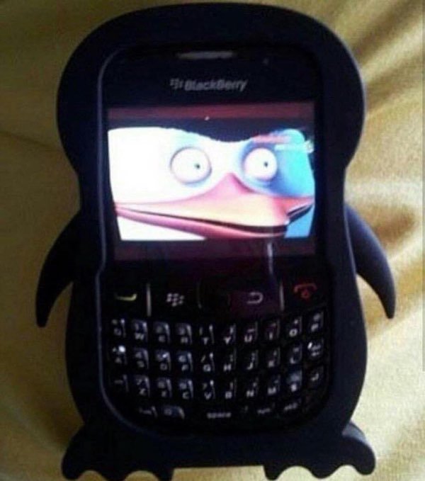 blackberry penguin meme - lackberry