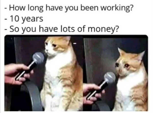 money meme - How long have you been working? 10 years So you have lots of money?