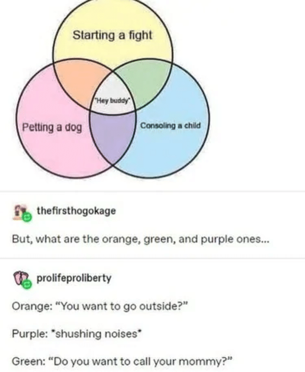 funny tumblr comments 2020 - Starting a fight Hey buddy Petting a dog Consoling a child thefirsthogokage But, what are the orange, green, and purple ones... prolifeproliberty Orange "You want to go outside?" Purple 'shushing noises Green Do you want to ca