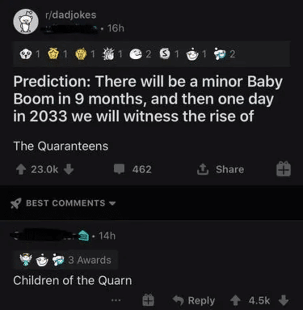 screenshot - rdadjokes 16h 1 e 2 3 1 2 1 2 Prediction There will be a minor Baby Boom in 9 months, and then one day in 2033 we will witness the rise of The Quaranteens 462 | Tp Best 14h 3 Awards Children of the Quarn