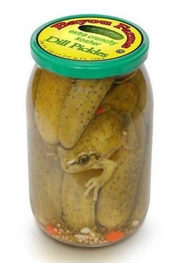 frogs eating pickles - extra crunchy Hasher Dill Pickles