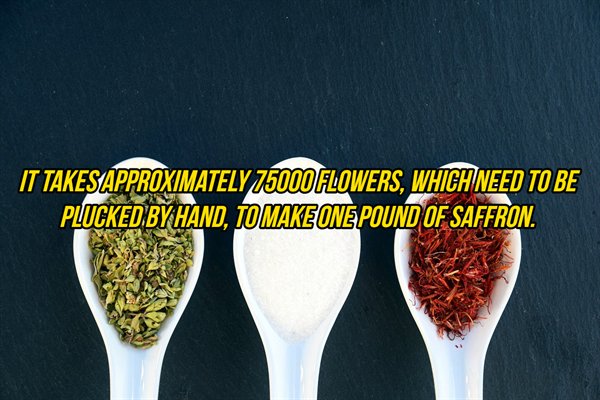 cutlery - It Takes Approximately 75000 Flowers, Which Need To Be Plucked By Hand, Tomake One Pound Of Saffron.