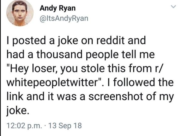 dog noggin meme - Andy Ryan I posted a joke on reddit and had a thousand people tell me "Hey loser, you stole this from r whitepeopletwitter". I ed the link and it was a screenshot of my joke. p.m.. 13 Sep 18