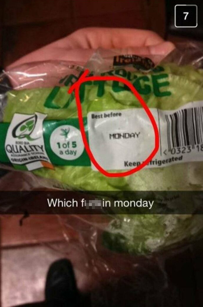 funny post on snapchat - 7 Best before a Monday Bodo Quality 1 of 5 a day |