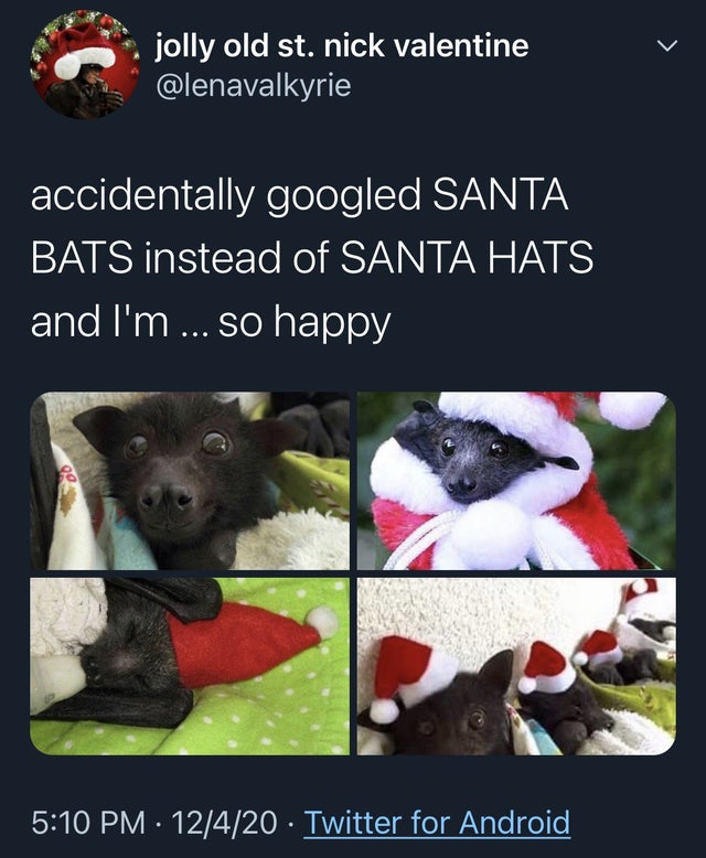 fauna - jolly old st. nick valentine accidentally googled Santa Bats instead of Santa Hats and I'm ... so happy 12420 Twitter for Android