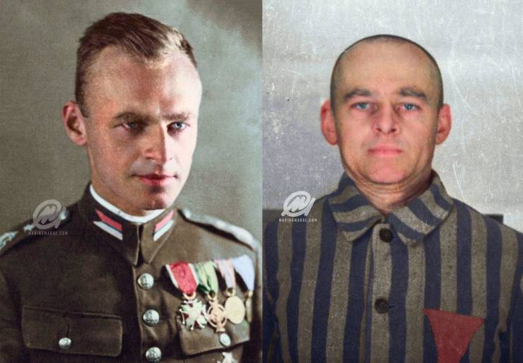 “In 1940, Witold Pilecki (a member of the Polish Resistance) volunteered to be captured by Nazis so he could collect intelligence on the Auschwitz Concentration Camp.”