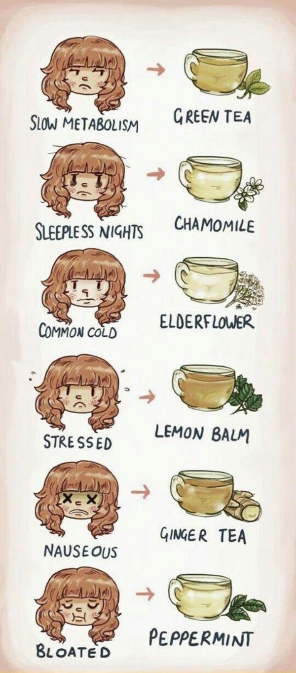 interesting facts - tea guide - Slow Metabolism Green Tea Sleepless Nights Chamomile Common Cold Elder Flower Lemon Balm Stressed Ginger Tea Nauseous Peppermint Bloated