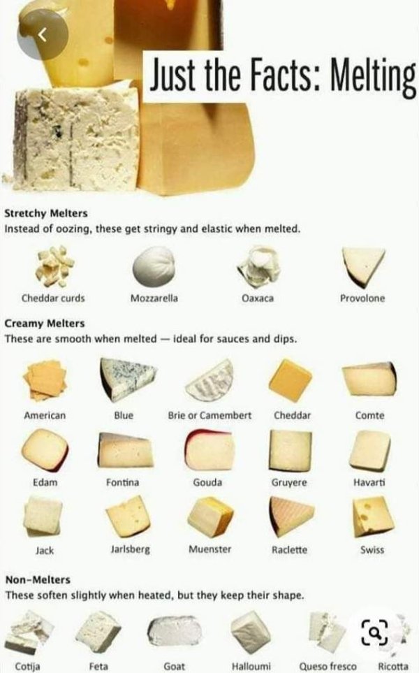 interesting facts - different cheeses - Just the Facts Melting Stretchy Melters Instead of oozing, these get stringy and elastic when melted. Cheddar curds Mozzarella Oaxaca Provolone Creamy Melters These are smooth when melted ideal for sauces and dips. 