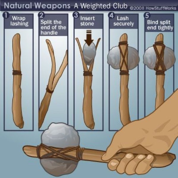 interesting facts - natural weapons - Natural Weapons A Weighted Club 2008 How StuffWorks 1 2 3 Wrap Insert Lash 5 lashing Split the stone securely Bind split end of the end tightly handle