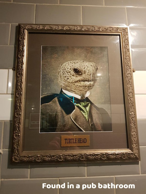 art - Turtle Head Found in a pub bathroom