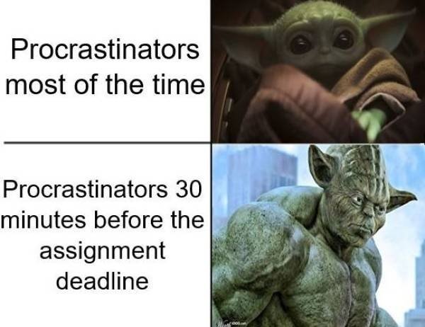 fauna - Procrastinators most of the time Procrastinators 30 minutes before the assignment deadline