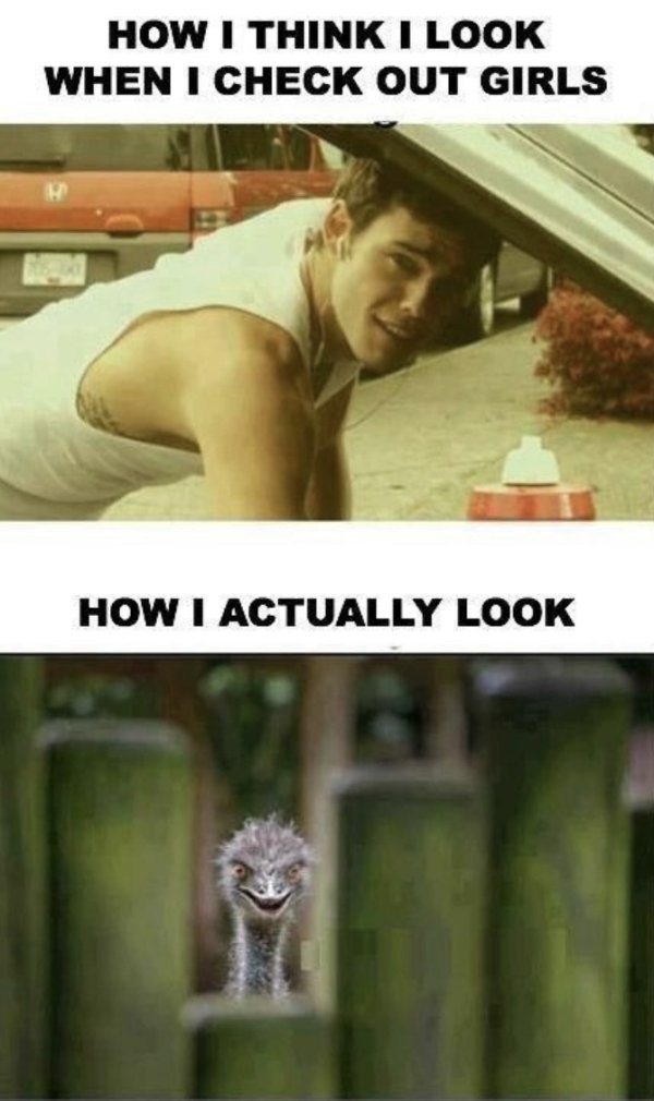 think i look like checking out - How I Think I Look When I Check Out Girls How I Actually Look