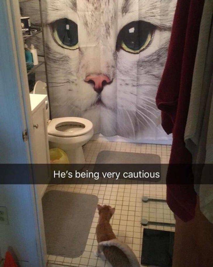 “Cat wouldn’t stop pooping in the bathtub, had to get creative.”
