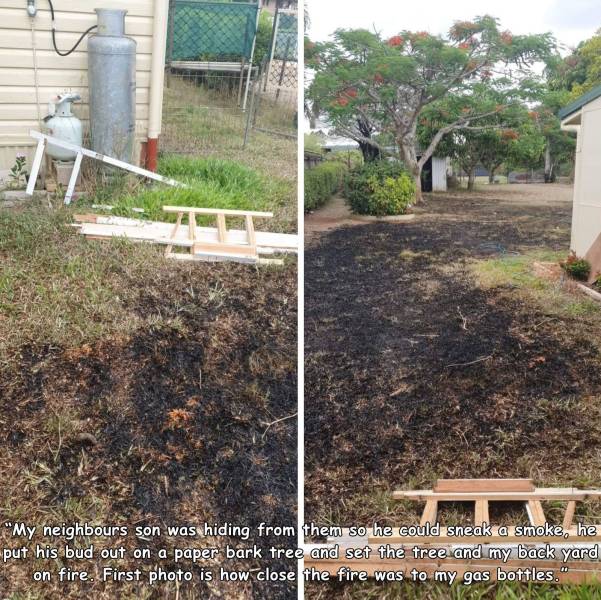 yard - "My neighbours son was hiding from them so he could sneak a smoke, he put his bud out on a paper bark tree and set the tree and my back yard on fire. First photo is how close the fire was to my gas bottles."