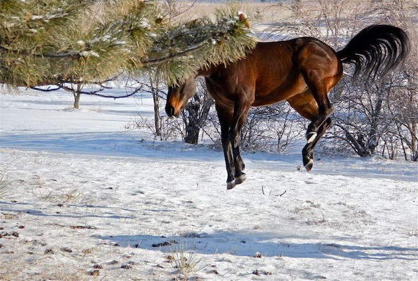 36 Perfectly Timed Photos.