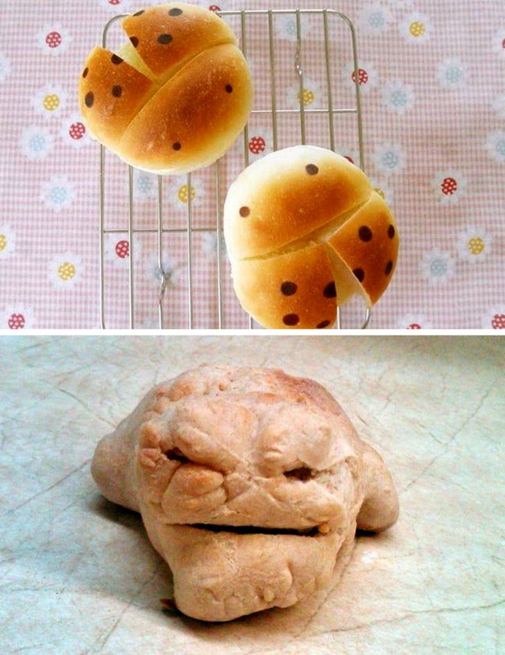 “We tried to make the ladybug buns from the photo.”