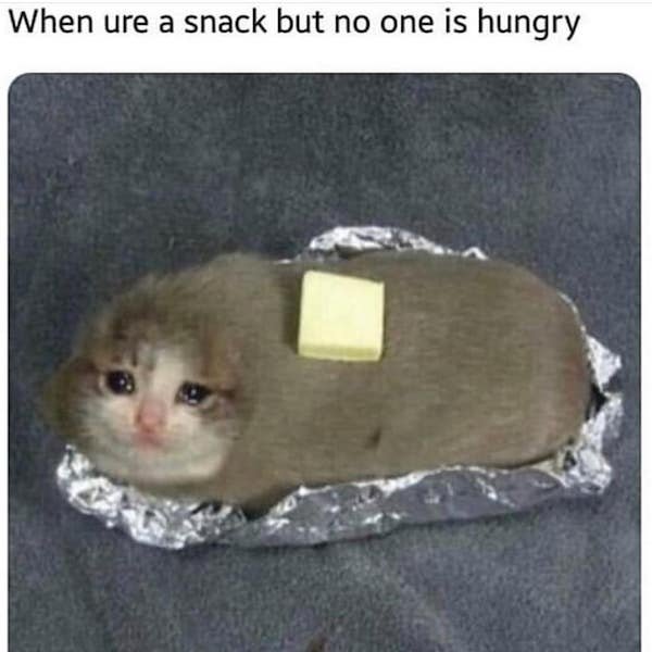 crying cat - When ure a snack but no one is hungry