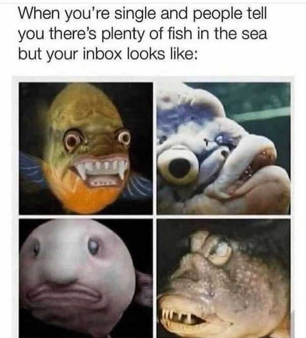 plenty of fish in the sea meme - When you're single and people tell you there's plenty of fish in the sea but your inbox looks