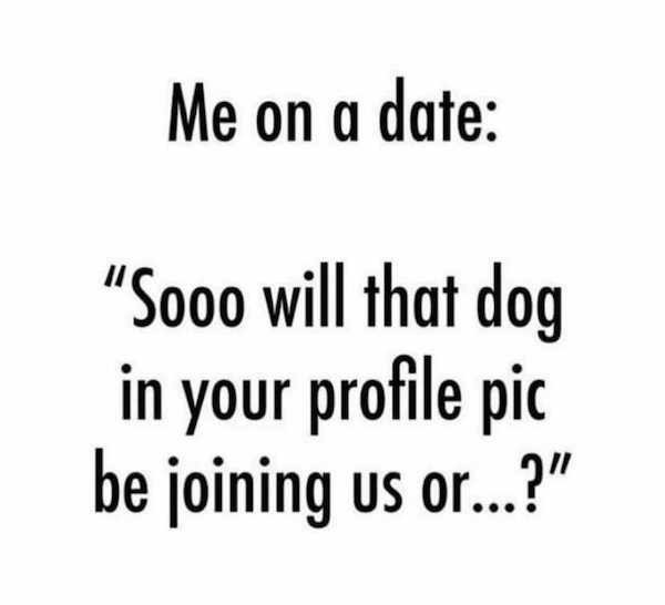number - Me on a date Sooo will that dog in your profile pic be joining us or...?"