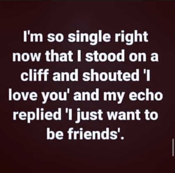 love - I'm so single right now that I stood on a cliff and shouted 'I love you' and my echo replied 'I just want to be friends'.