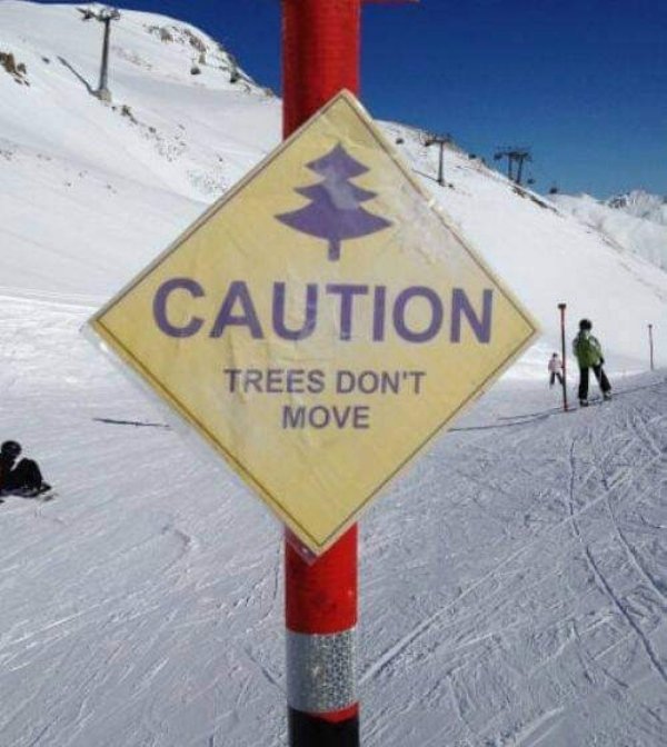 obvious signs - Caution Trees Don'T Move