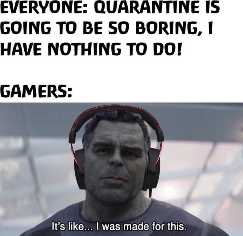 coronavirus gamers meme - Everyone Quarantine Is Going To Be So Boring, I Have Nothing To Do! Gamers It's ... I was made for this.