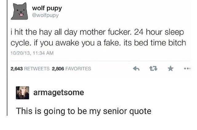 paper - wolf pupy i hit the hay all day mother fucker. 24 hour sleep cycle. if you awake you a fake. its bed time bitch 102013, 2,643 2,806 Favorites armagetsome This is going to be my senior quote