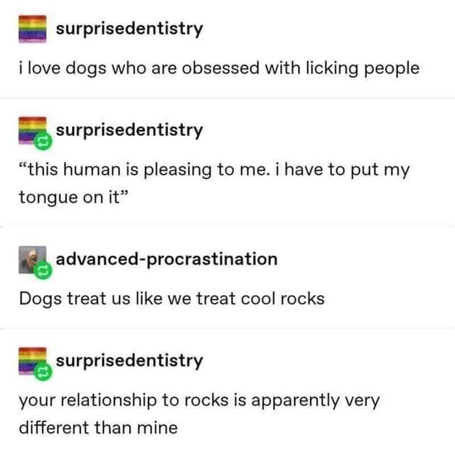 procrastination tumblr post - surprisedentistry i love dogs who are obsessed with licking people surprisedentistry "this human is pleasing to me. i have to put my tongue on it" advancedprocrastination Dogs treat us we treat cool rocks surprisedentistry yo