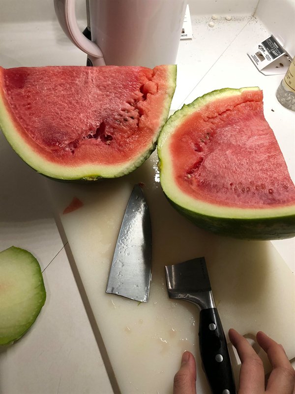 funny fail photos - watermelon broken knife
