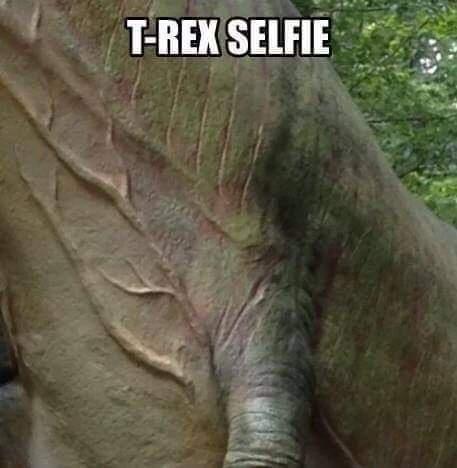 t rex arms joke - TRex Selfie