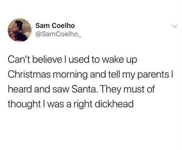 funny zoom tweets - Sam Coelho Can't believe I used to wake up Christmas morning and tell my parents | heard and saw Santa. They must of thought I was a right dickhead