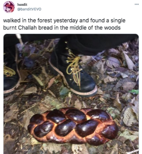 fauna - bandit walked in the forest yesterday and found a single burnt Challah bread in the middle of the woods Roc