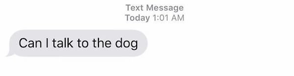 Text Message Today Can I talk to the dog