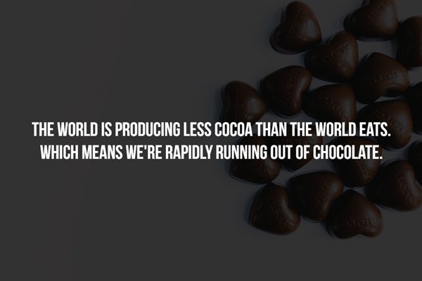 am meg - The World Is Producing Less Cocoa Than The World Eats. Which Means We'Re Rapidly Running Out Of Chocolate.