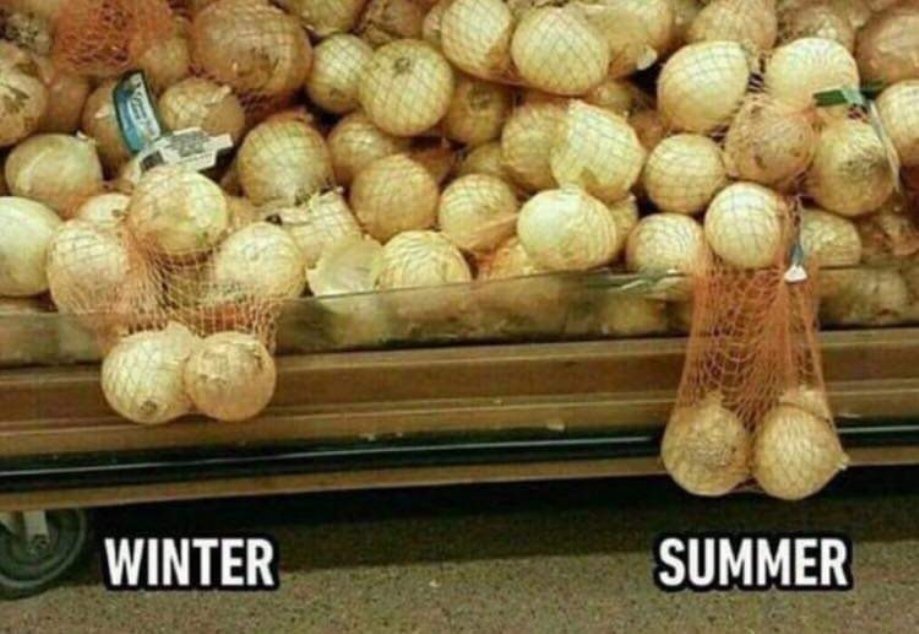 only men understand winter summer - Winter Summer