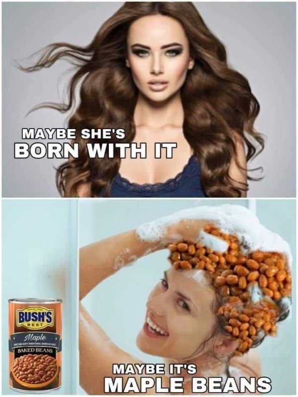 maybe it's maple beans - Maybe She'S Born With It Bush'S Best Maple Baked Beans Maybe It'S Maple Beans