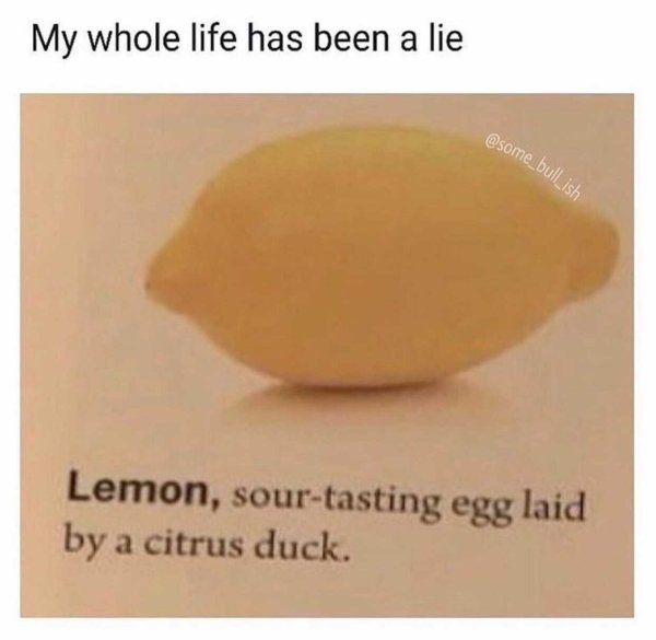My whole life has been a lie Lemon, sourtasting egg laid by a citrus duck.