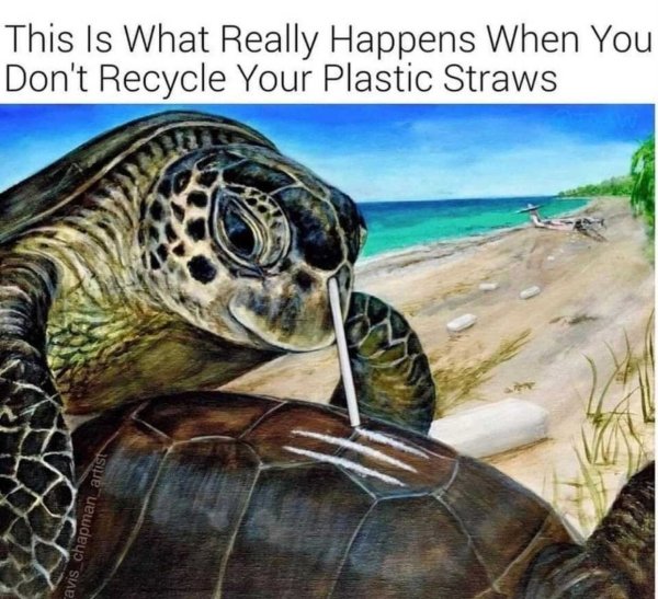 happens when you don t recycle plastic straws - This Is What Really Happens When You Don't Recycle Your Plastic Straws avis chapman