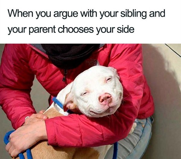 he takes you back meme - When you argue with your sibling and your parent chooses your side