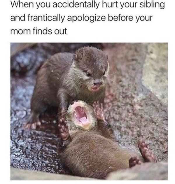 you accidentally hurt your sibling - When you accidentally hurt your sibling and frantically apologize before your mom finds out