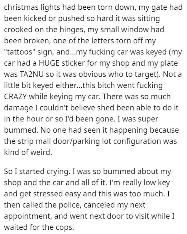 document - christmas lights had been torn down, my gate had been kicked or pushed so hard it was sitting crooked on the hinges, my small window had been broken, one of the letters torn off my "tattoos" sign, and...my fucking car was keyed my car had a Hug
